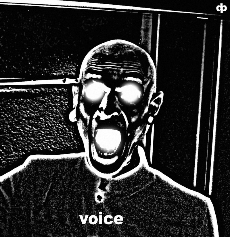 Voice new cover