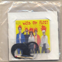 Wigs on Fire! (B52's Tribute)